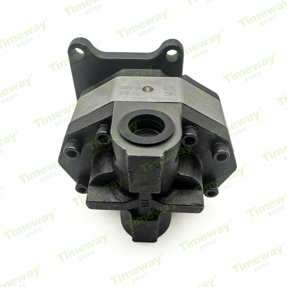 CB-FC40 花键6齿 (3)