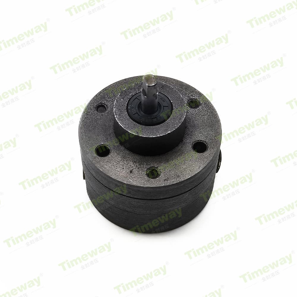 SNBY2.5-0.5 齿轮泵 (1)