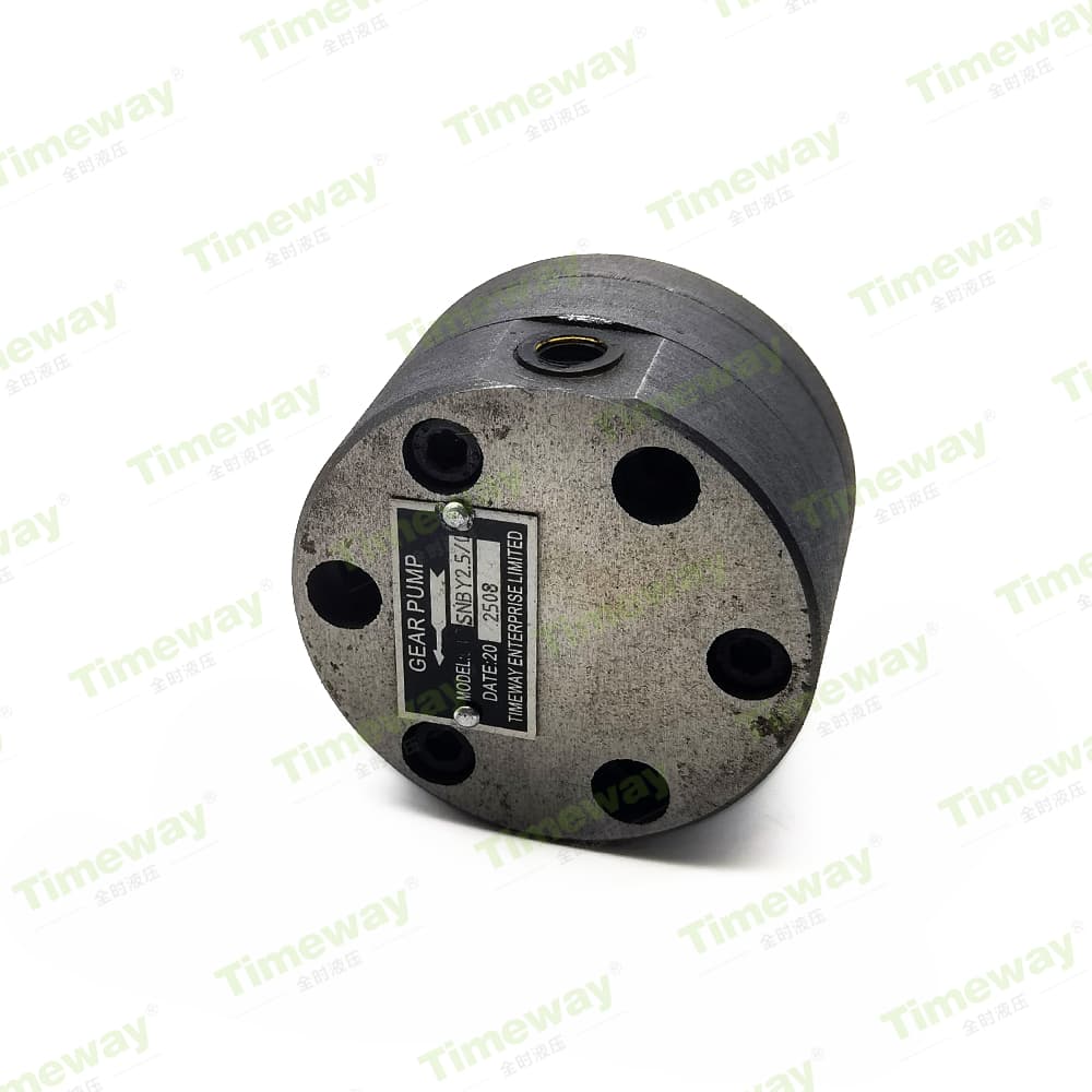 SNBY2.5-0.5 齿轮泵 (4)
