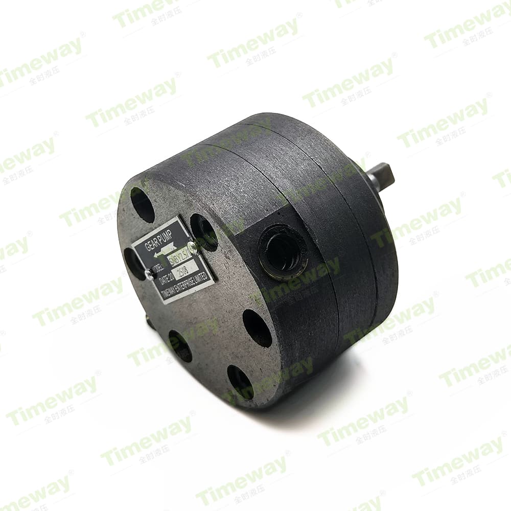 SNBY2.5-0.5 齿轮泵 (6)